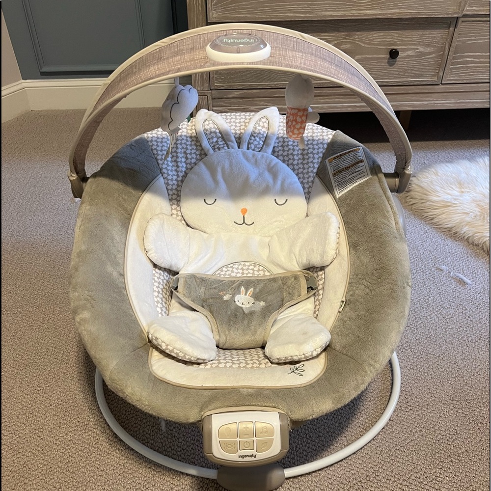 Baby Bouncer